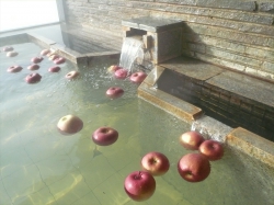 photo1