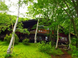 photo1