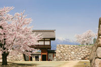 松代城跡の桜
